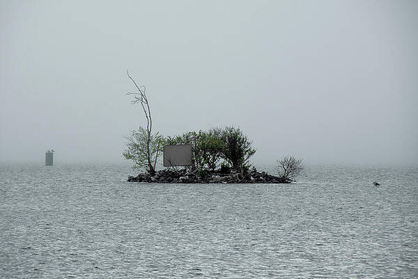 Michigan Photograph - Foggy Ripley Rock by Vi Ray