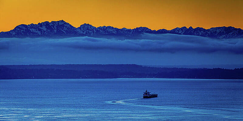 Nature Wall Art featuring the photograph Foggy Seattle Puget Sound Washington by Tommy Farnsworth