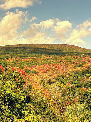 Wall Art featuring the photograph Foliage On The Mountains by Onedayoneimage Photography