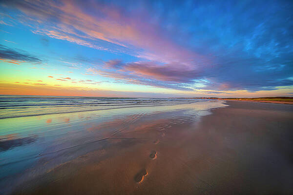 Reflection Photograph - Foot Steps by Penny Polakoff