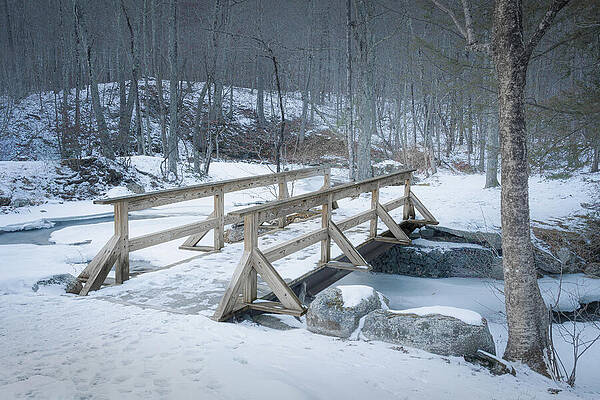Nature Photograph - Footbridge In The Snow by Dave King