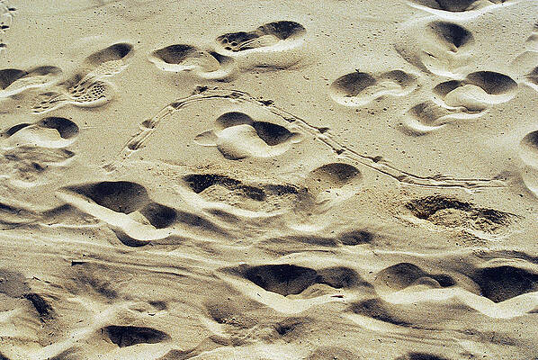 Landscape Wall Art featuring the photograph Footprint On The Beach Sand Texture Background by Severija Kirilovaite