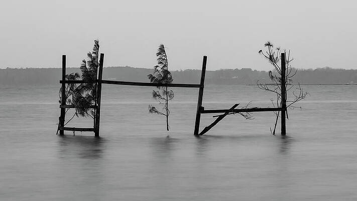 Water Photograph - For Sale, As-is by David Fountain