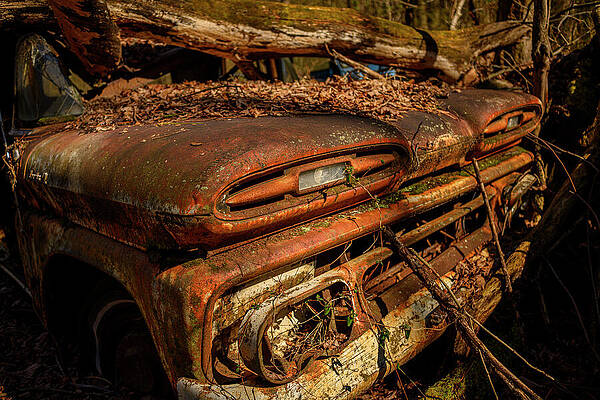 Abandoned Rusty Truck in Forest Wall Art