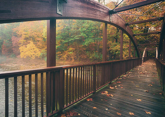 Fall Photograph - Ford Pedestrian Bridge Long Autumn View by Jason Fink