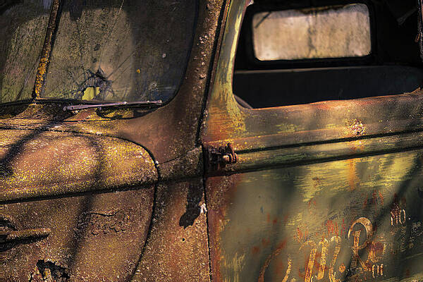 Vintage Photograph - Ford Truck - Decaying - Forest by Robert Niemeier