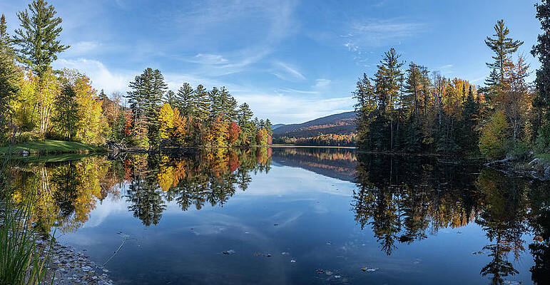 Fall Wall Art featuring the photograph Forest Afloat by Todd Wilkinson