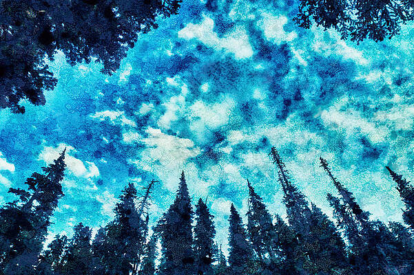 Wall Art featuring the digital art Forest And Sky by Bruce Block