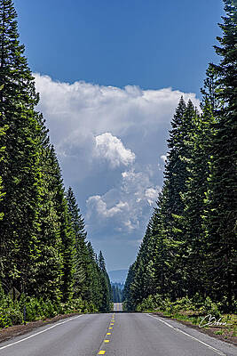 Sky Wall Art featuring the photograph Forest Divided by Charlie Osborn