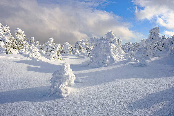 Wall Art featuring the photograph Rime And Shadow. by Jeff Sinon