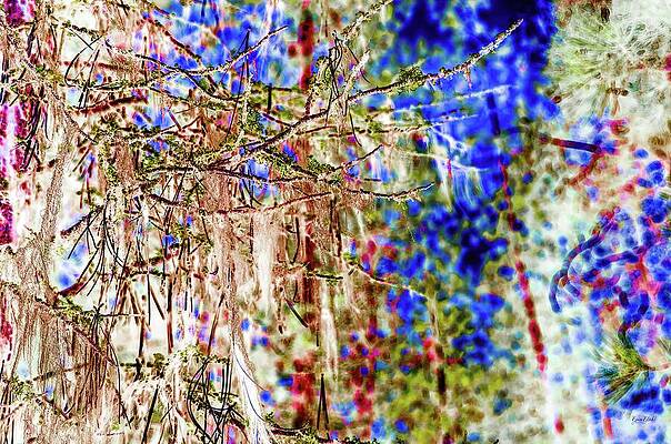 Abstract Photograph - Forest Tree With Lichen by Bruce Block