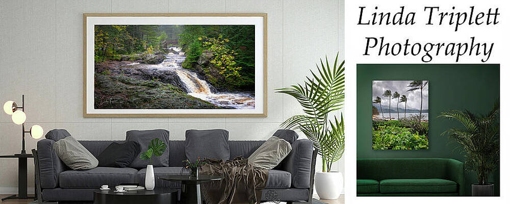 Forest Waterfall in Living Room Wall Art