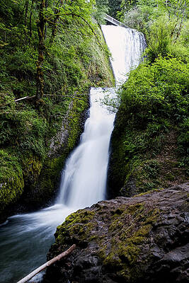 Forest Waterfall in Motion by Carl Prothman