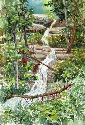 Forest Waterfall by Sheila Parsons