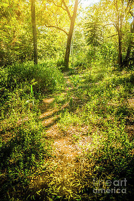 Forgotten forest by Jorgo Photography