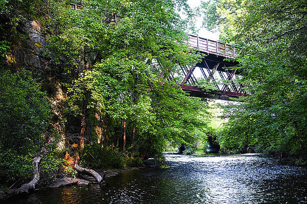 Photograph - Fort River Trestle by Steven Nelson