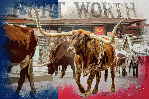 Fort Worth Longhorns Wall Art