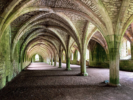 Colour Photograph - Fountains Abbey Cellarium by Seeables Visual Arts