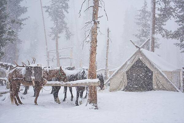 Wilderness Photograph - Fourth Day Of Winter by Alden White Ballard