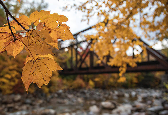 Wall Art featuring the photograph Fourth Iron Bridge In Fall by Dan Sproul