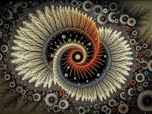 Digital Art - Fractal Bloom Spiral by Deb Beausoleil