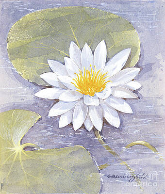 Tree Painting - Fragrant Water Lily by Gordon Beningfield