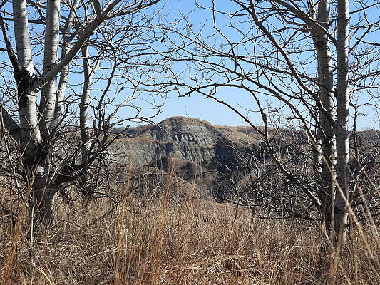 Photograph - Framed Butte by Amanda R Wright