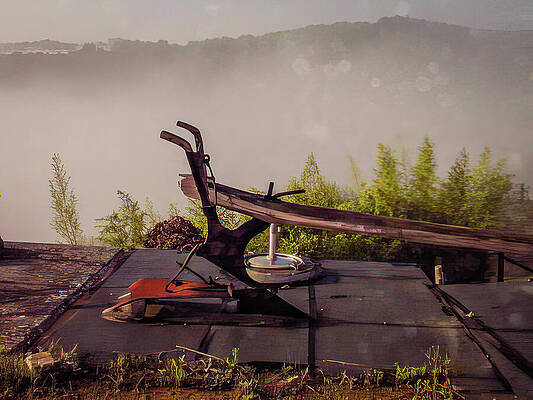Tree Photograph - France - Vintage Plow by Robert Niemeier