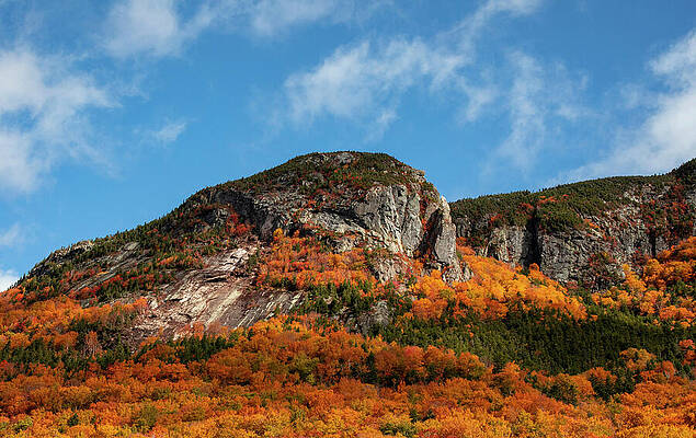 Wall Art featuring the photograph Franconia Notch Cliff In Autumn by Dan Sproul