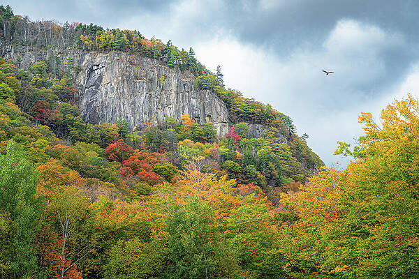 Autumn Foliage on Rocky Hillside Wall Art
