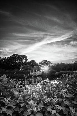 Wall Art featuring the photograph Franko Park Pond And Gazebo - Black And White by Jason Fink