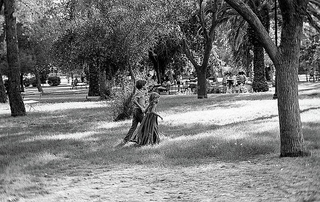 Children Running in the Park Photograph