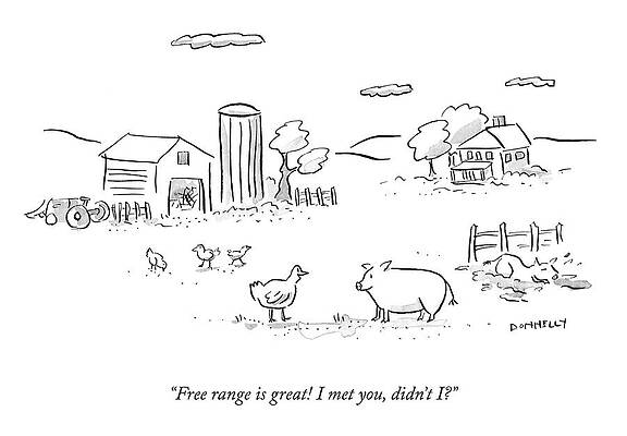 Pig Drawing - Free Range Is Great by Liza Donnelly