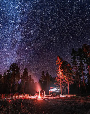 Wild Wall Art featuring the photograph Freedom To Dream by Shannon Williams