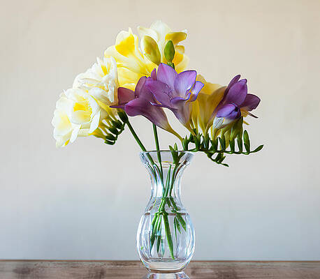 Wall Art featuring the photograph Freesia Fragrance by Joe Schofield