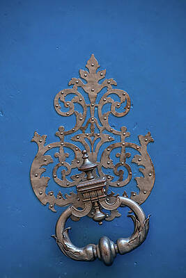 Wall Art featuring the photograph French Blue 1 by Lisa Chorny