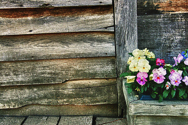 Rustic Flower Arrangement on Wooden Wall Photograph