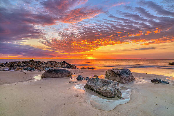 Maine Wall Art featuring the photograph Fresh Beginnings by Penny Polakoff