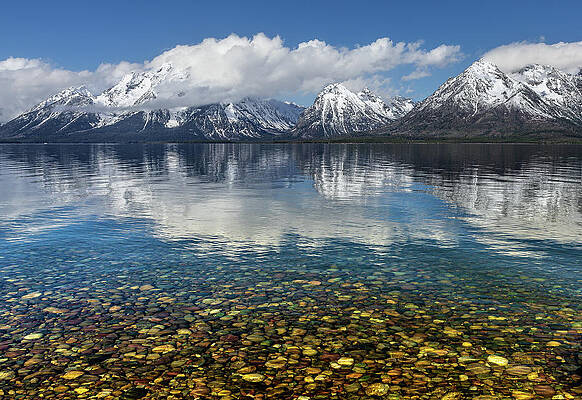 Nature Photograph - Fresh Beginnings by Tim Lyden