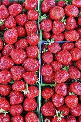 Fruit Photograph - Fresh Strawberries by Alex Lau