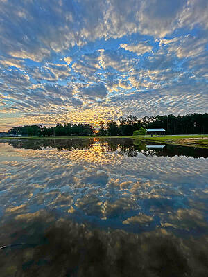 Reflection Photograph - Friday Morning Reflections by Greg Lane