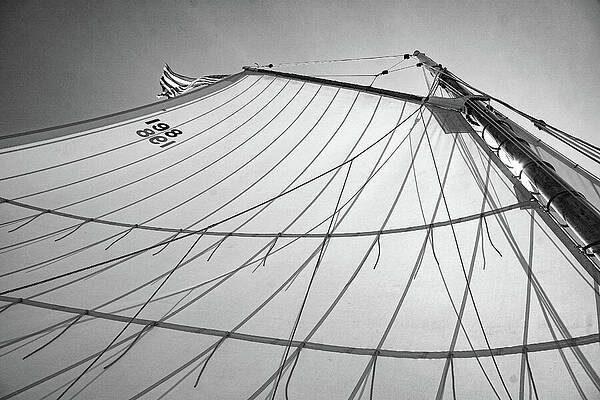 Maine Photograph - Friendship Sloop Sail by Steven David Roberts
