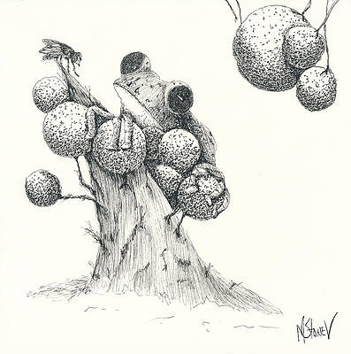 Wildlife Drawing - Said The Fly To The Frog by Marie Stone-van Vuuren