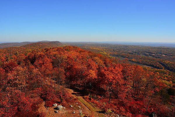 Wall Art featuring the photograph From Catfish Fire Tower Looking North 2 by Raymond Salani III