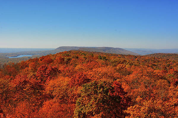 Wall Art featuring the photograph From Catfish Fire Tower Looking South 1 by Raymond Salani III