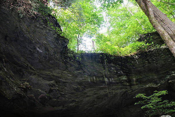 Wall Art featuring the photograph From The Bottom Of The Gorge by Flees Photos