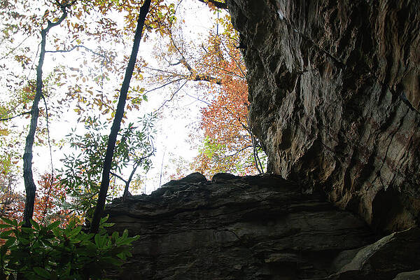 Wall Art featuring the photograph From The Bottom Of The Gulch #2 by Flees Photos