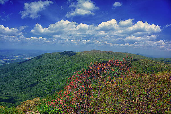From Top Of Mount Hawksbill Looking North Print
