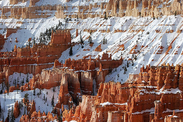 Textured Photograph - Frosted Gingerbread -- Snow-Covered Landscape In Bryce Canyon National Park, Utah by Darin Volpe