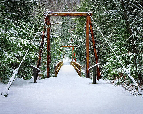 Tranquil Wall Art featuring the photograph Winter Crossing At Lincoln Woods by NorthEast Creativity